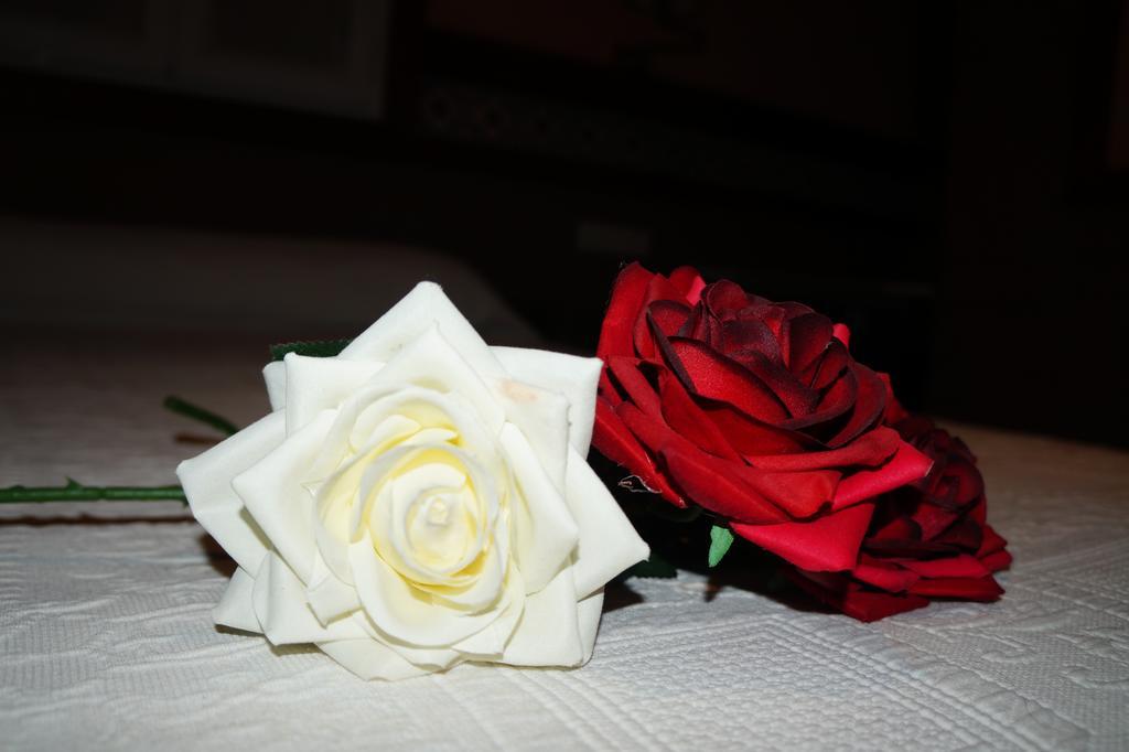 Hostal La Conilena Conil De La Frontera Δωμάτιο φωτογραφία